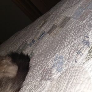 Meet your Posher, Heather